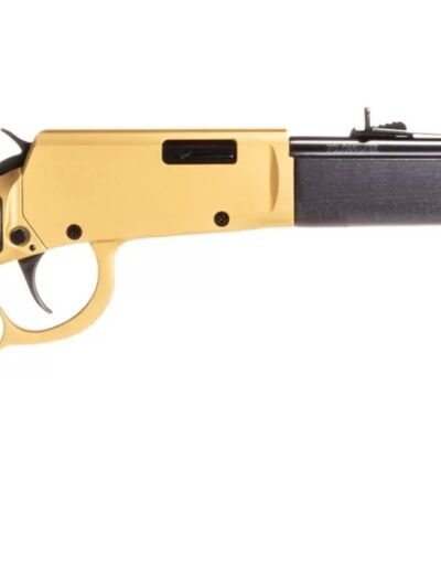 ROSSI RIO BRAVO 22LR GLD/BK 18" 15+1