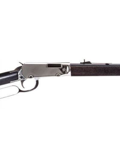 ROSSI RIO BRAVO 22LR NI/WD 18" 15+1