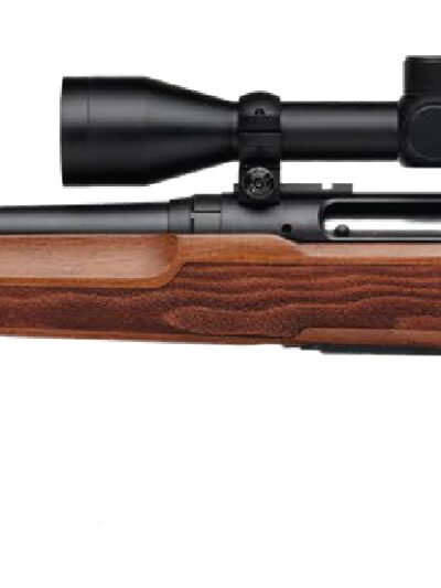 SAVAGE ARMS AXIS 2 223REM WOOD 22" PKG LH