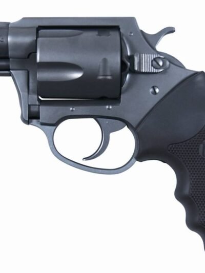CHARTER ARMS MAG PUG 357MAG BL 5RD 2.2"