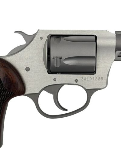 CHARTER ARMS COYOTE 380ACP SS 2" 5RD