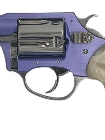 CHARTER ARMS CHARTER CHIC LADY 38SPC LAV/SS