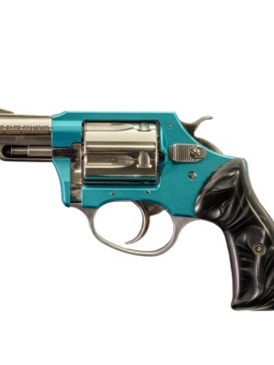 CHARTER ARMS BLUE DIAMOND 38SPC HIPOLISH 2"