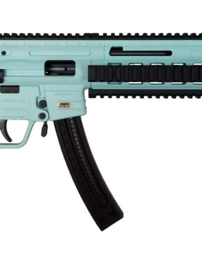 ATI GSG-16 CARBINE 22LR RLF MINT