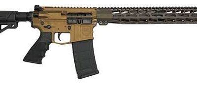 DARK STORM DS15 TYPH STD 556 RFL CH