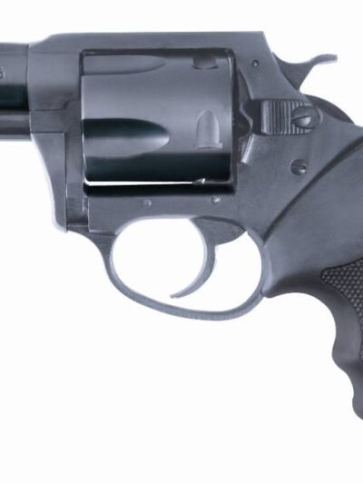 CHARTER ARMS BULLDOG 44SPC BL 2.5"