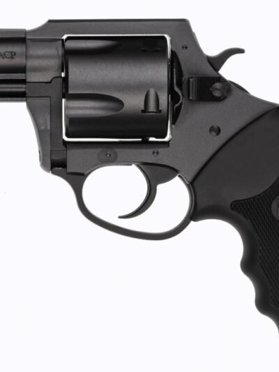 CHARTER ARMS MAG PUG 357M NITRIDE 5RD 2.2"