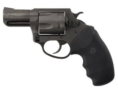 CHARTER ARMS CHARTER PITBULL 40SW NIT 2" FS