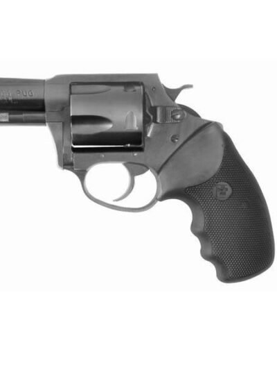 CHARTER ARMS CHARTER BULLDOG 44SPC NITRI FS