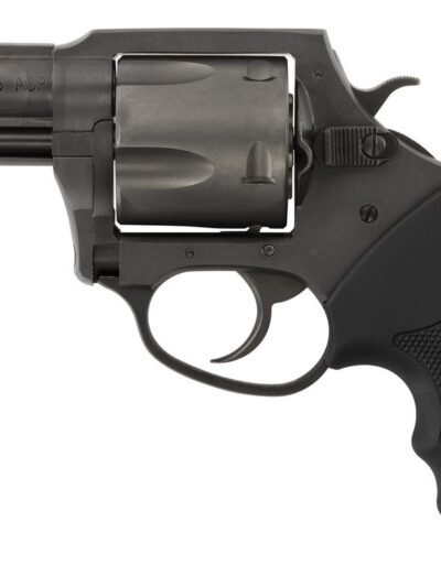 CHARTER ARMS CHARTER PITBULL 45ACP NIT 2.5"