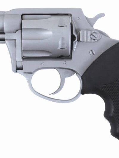 CHARTER ARMS CHARTER POL UNDRCVR 38SP SS 2"
