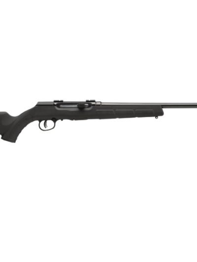 SAVAGE ARMS A17 17HM2 BL/SYN 22" 10+1 AT