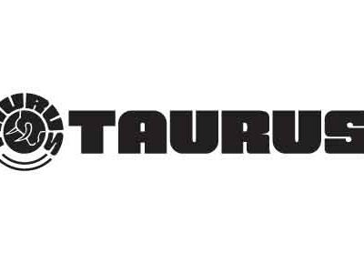 TAURUS G2C 9MM BLK/FDE 3.2" 12+1    #