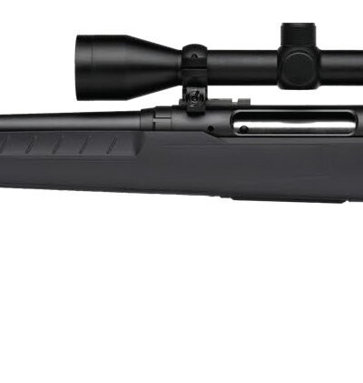 SAVAGE ARMS AXIS 2 243WIN BL/GRY PKG LH