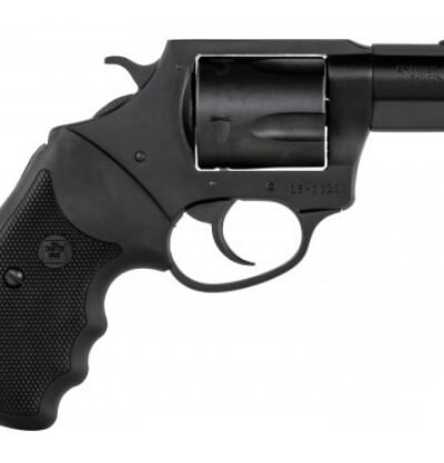 CHARTER ARMS THE PROFESSIONAL 357MAG 3"
