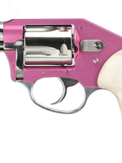 CHARTER ARMS CHARTER CHIC LADY 38SPC 2" DAO