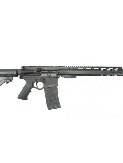 ATI ALPHA MAXX RIA Rifle 300 Blackout 30rd Magazine(1) 16" Barrel MLOK Polymer Rail