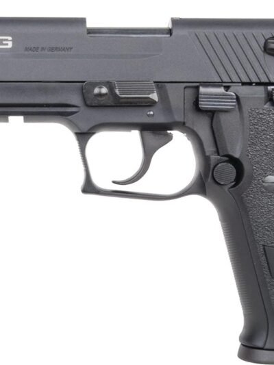 ATI GSG FIREFLY HGA .22LR BLACK 4" BL NO THREADS 10/RD