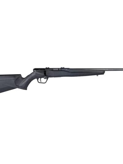 Savage Arms B22 F Rifle 22 LR 10/rd 21" Barrel Black
