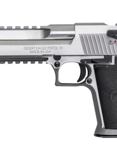 DESERT EAGLE .50AE 6" PISTOL 7RD STS W/bottom rail & MuzzleBrake