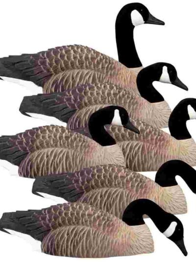 Higdon Outdoors Magnum Half Shell Canada 6pk