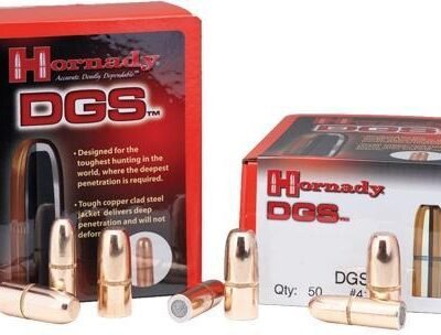 Hornady Dangerous Game Solid Bullets .45 cal .458" 500 gr DGS 50/ct