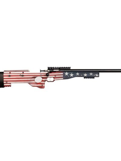 Crickett Precision Old Glory Rifle .22 LR Single Shot 16.1 Blued Barrel Precision Stock