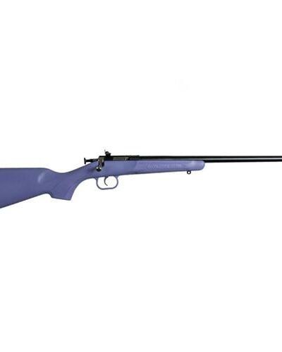 Crickett Purple Synthetic Single Shot .22 LR Blued Barrel