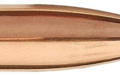 Sierra BlitzKing Rifle Bullets .20 cal .204" 39 gr BLKG 500/ct