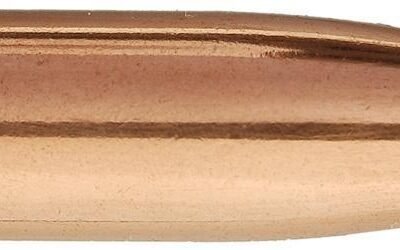 Sierra Pro-Hunter Rifle Bullets 6mm .243" 100 gr SPT 100/ct