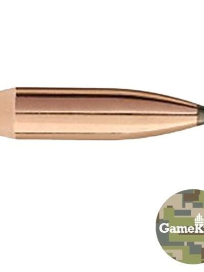 Sierra GameKing Rifle Bullets 6mm .243" 100 gr SBT 100/ct