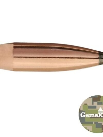 Sierra GameKing Rifle Bullets .30 cal .308" 180 gr SBT 100/ct