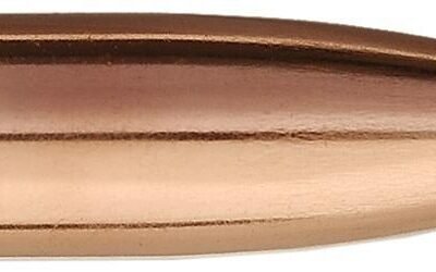Sierra MatchKing Rifle Bullets .30 cal .308" 175 gr HPBT MATCH 100/ct