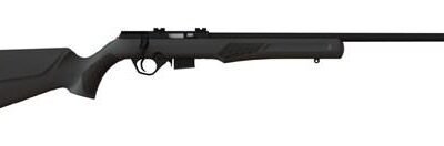 Rossi RB Rifle Series .17 HMR 5 rd 21" Barrel Magazine Black Stock