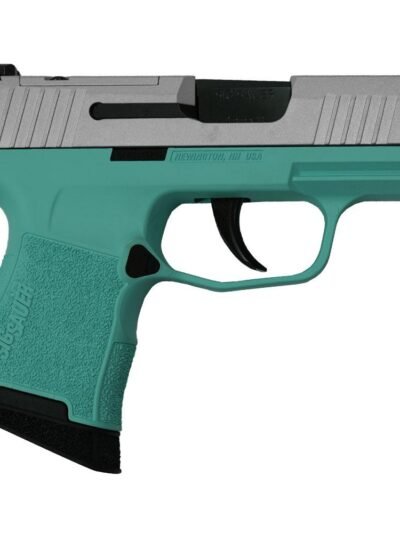 Sig Sauer "Silver Slide/Robin's Egg Blue Frame" P365 Optic Ready Handgun 9mm Luger 10rd Magazines(2) 3.1" Barrel X-RAY 3 Sights