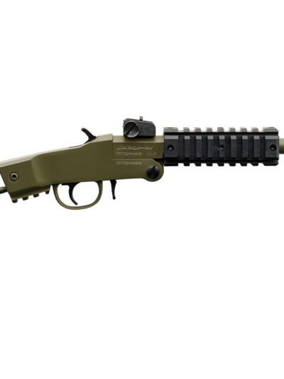 CHIAPPA LITTLE BADGER 22LR RFL OD GRN W/BK PACK