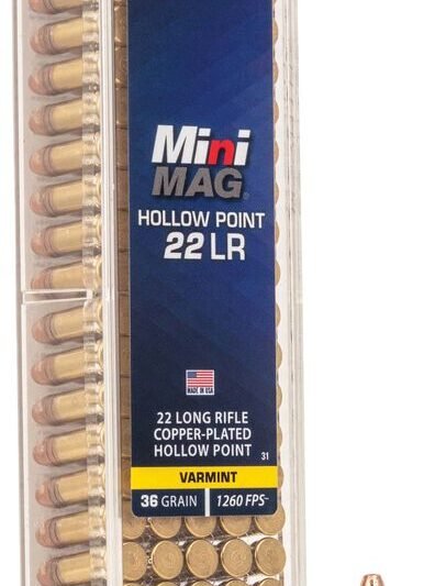 CCI 22 LR MINI MAG  36GR HP 100 RD/BX 50 BX/CS