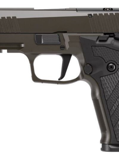 SIG SAUER P226X LEG SAO 3.8" 9MM 10+1 OR