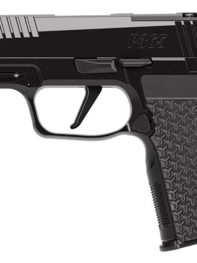 SIG SAUER P365 AXG COMP LUXE 380ACP 12+1