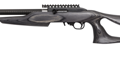 MAGNUM RESEARCH MAGNUM LT 22LR SWTCHBLT BK LAM
