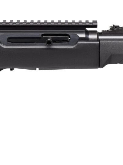 SAVAGE ARMS A22 TAKEDOWN 22LR BL/SY 10+1