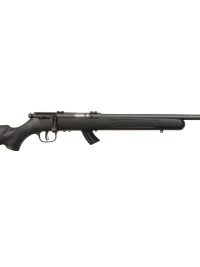 SAVAGE ARMS MARK II BOLT 17HM2 BL/SY 10+1
