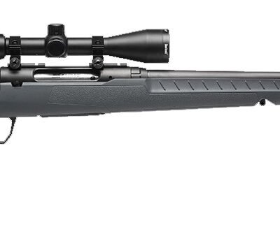 SAVAGE ARMS AXIS 2 CPT 308 BL/GRY PKG