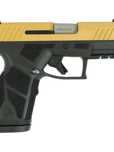 Taurus GX2 "Gold Glitter" Handgun 9mm Luger 13rd Magazines (2) 3.38" Barrel Black Frame/Custom Slide