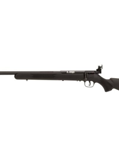 SAVAGE ARMS MARK I BOLT 22LR BL/SY TARG LH