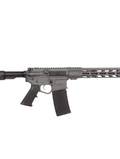WISE ARMS WA-15B 300BLK SNIPER GREY 16"
