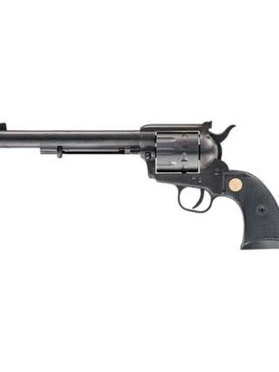 CHIAPPA 1873 17HMR-10 REV PSTL BLK