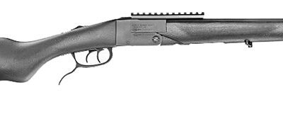 CHIAPPA DBL BADGER 410G/22LR SHT/RF