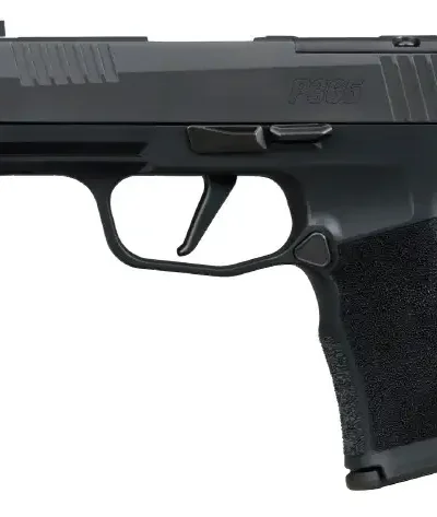 SIG SAUER P365XL COMP 380ACP PISTOL 3.1" X SERIES, O.R. 2-12RD MAG