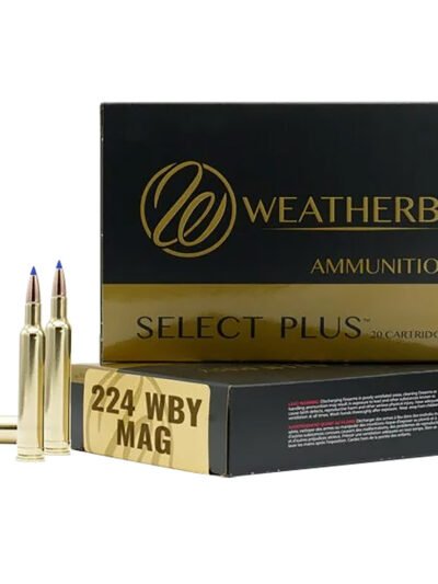 WEATHERBY 224WBY 37GR HAMMER CUSTOM
